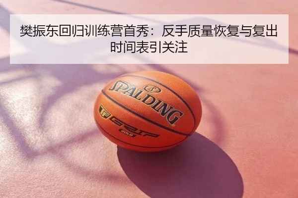 樊振东回归训练营首秀：反手质量恢复与复出时间表引关注
